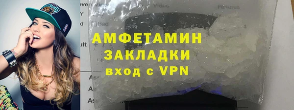 индика Абаза