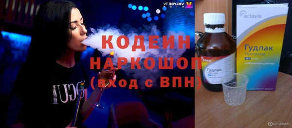 индика Абаза