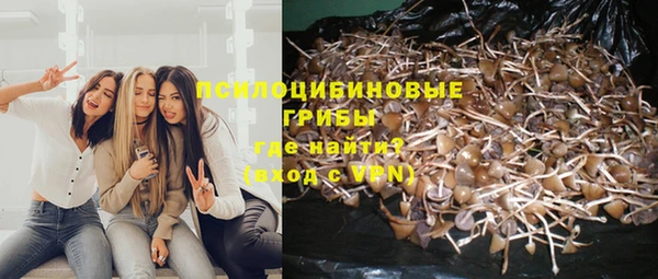 гидра Абинск