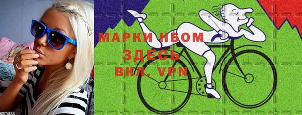 индика Абаза
