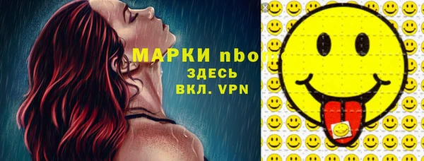 индика Абаза