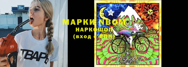 индика Абаза