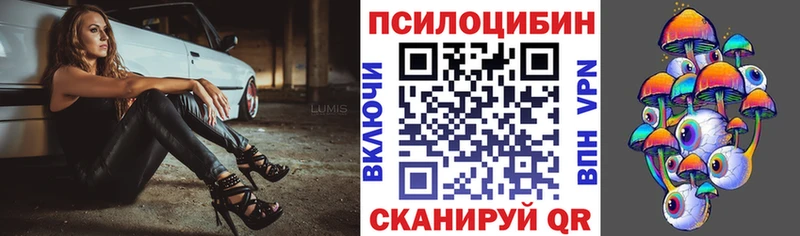 Псилоцибиновые грибы Psilocybe кракен сайт Нижние Серги